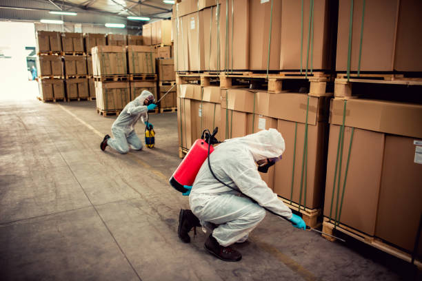 Best Mosquito Control Services  in Las Cruces, NM