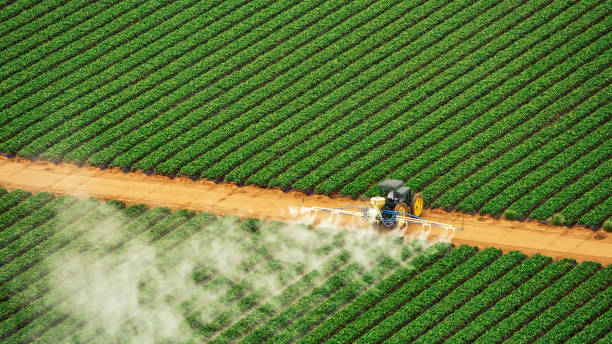 Best Commercial Pest Control Services  in Las Cruces, NM