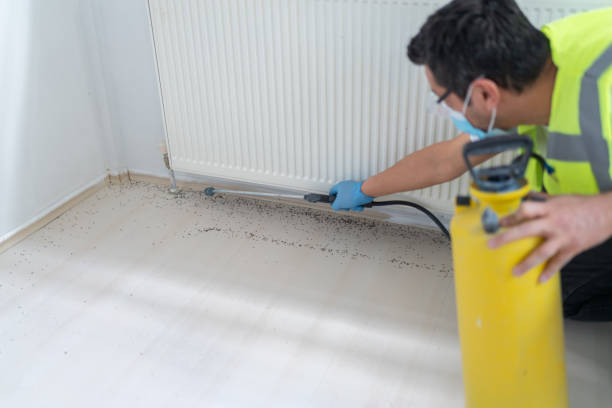 Best Exterminator Services  in Las Cruces, NM